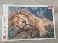 Puzzle trefl - śpiący lew