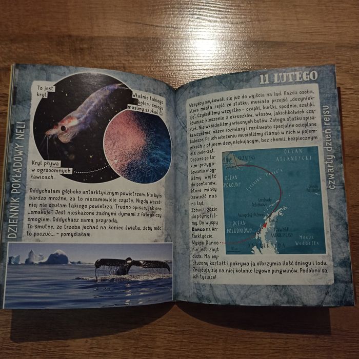 Książka seriia Nela mała reporterka, Nela i kierunek Antarktyda