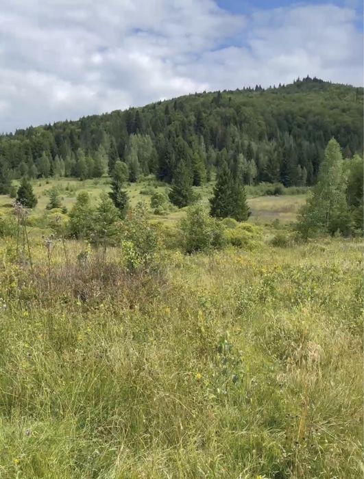 Продаж Ділянки У Пейзажному Місці Біля Гір Івано-франківська обл