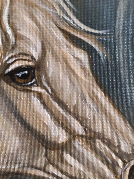 Оригінальна картина “Нескорений” Акрил 50×70  Авторська робота, кінь