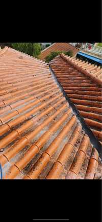 Lavagem/ Pintura e ipermeabilização de telhados