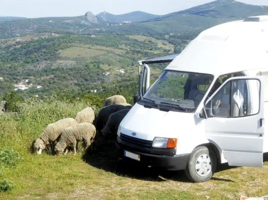 Campervan autovivenda Ford Transit