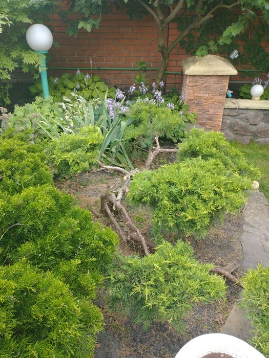 Послуги садівника