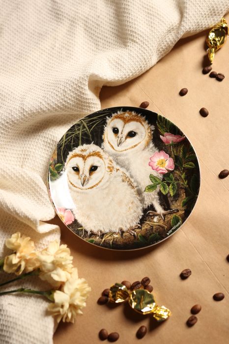 Talerz ozdobny Wedgwood sowa porcelana