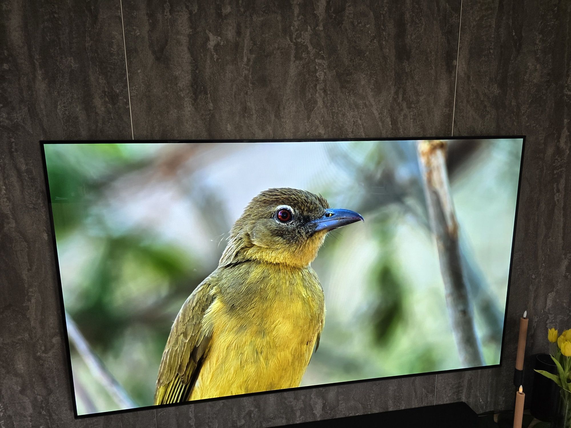 Telewizor LG OLED 65" OLED65CX3LA +gwarancja + kalibracja