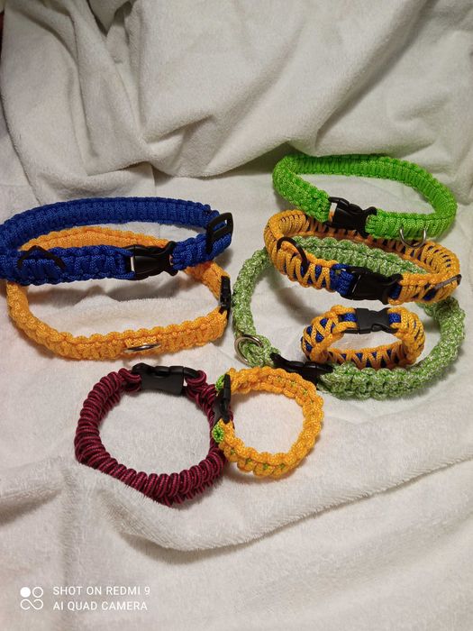 Ошейники для собак и кошек