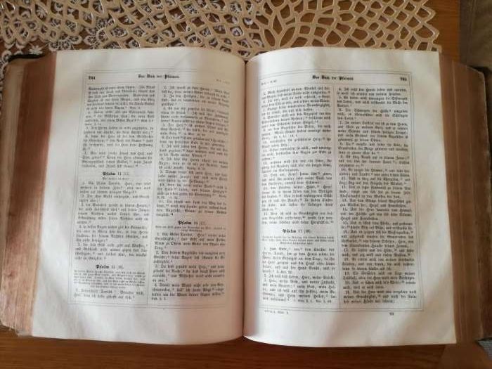 Biblia - Reilige Schrift