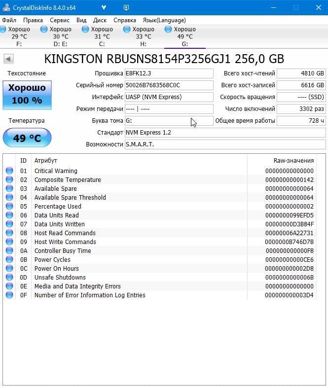 SSD диск NVMe Kingston 3D TLC M.2 NVMe 256GB (RBU-SNS8154P3/256GJ1)