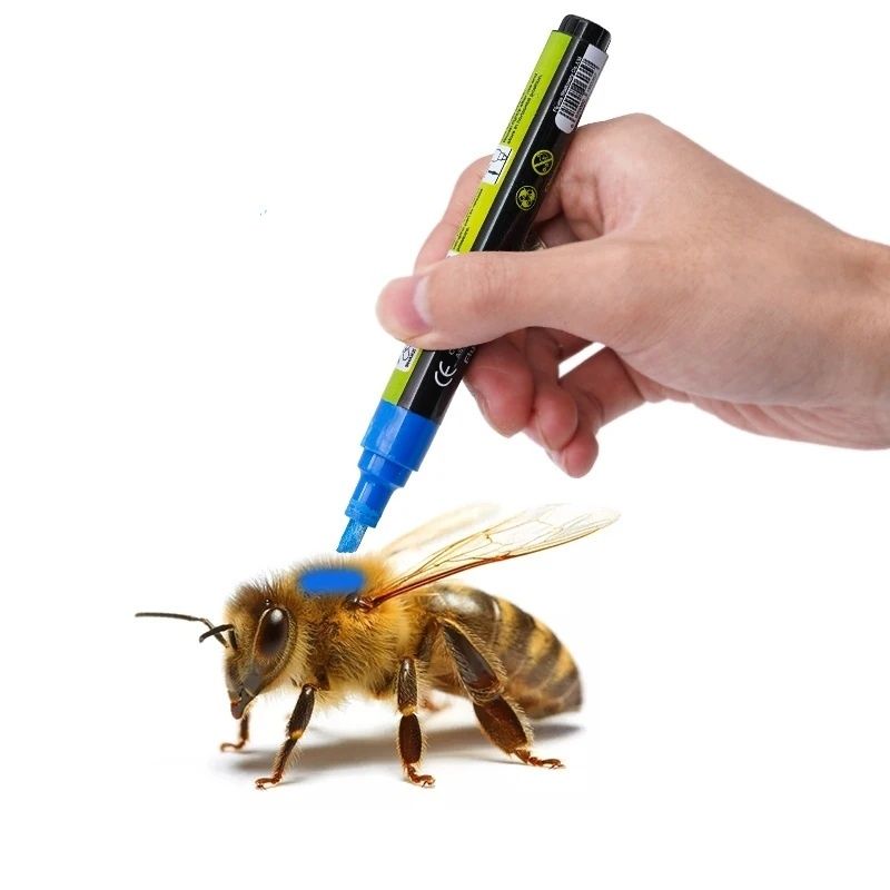 Caneta para marcação de abelhas rainha - apicultura