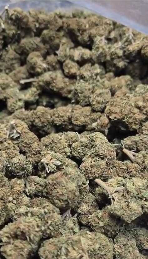 Susz Konopny CBD Banana Kush Hurt PREMIUM Mocny Aromat TOP Jakość 1KG