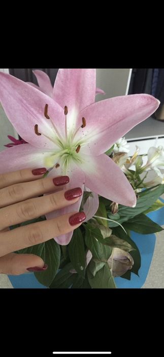 АКЦИЯ!МАНИКЮР+Покрытие=500