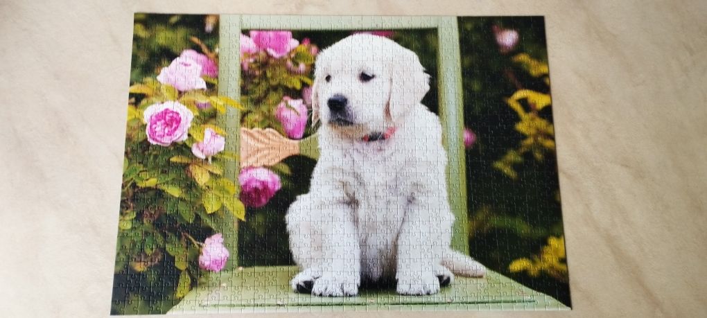 Puzzle 2w1 Trefl 1000 + 500 elementów Psy Szczeniaki Nowe kompletne