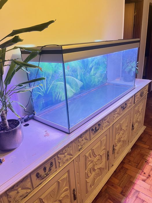 Aquario grande 120x40x45