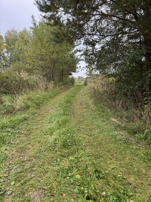 Продаж землі Поршна