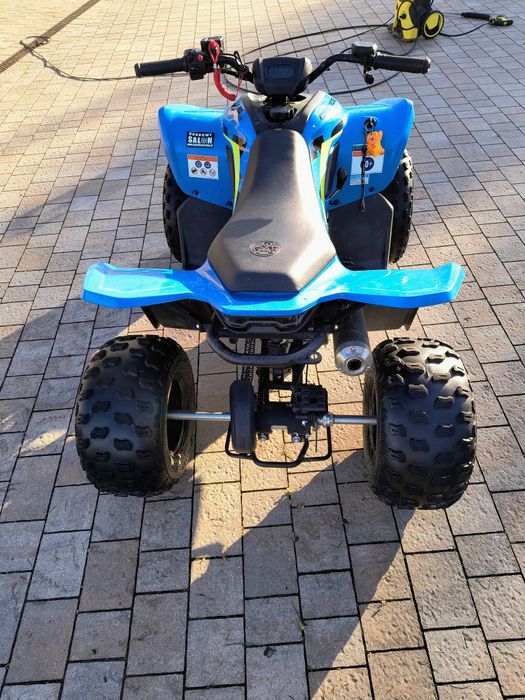 Quad CF Moto Cforce 110