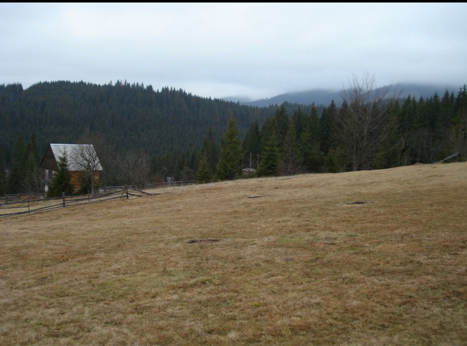 Гори,Карпати,Земля під забудову. с. Вишків!!!