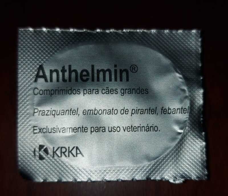 Suplementos alimentares para cães