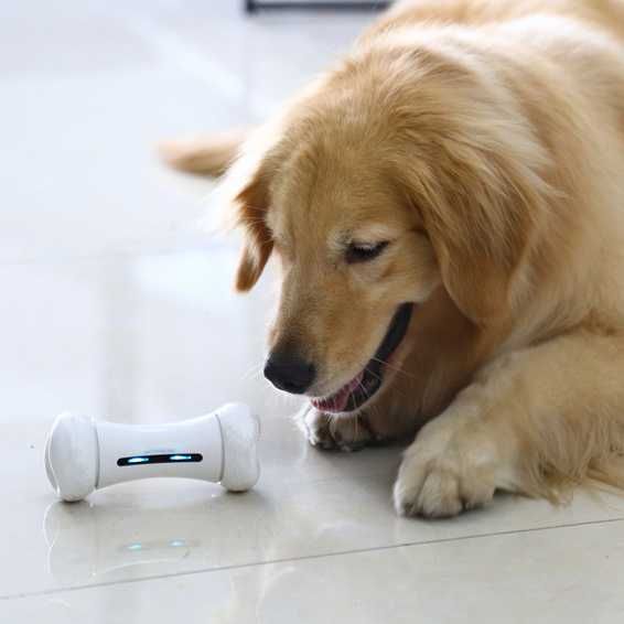 Kość dla psa inteligentna sterowana smartfonem