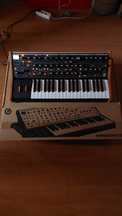 Sintetizador Moog Subsequent 37 com garatia