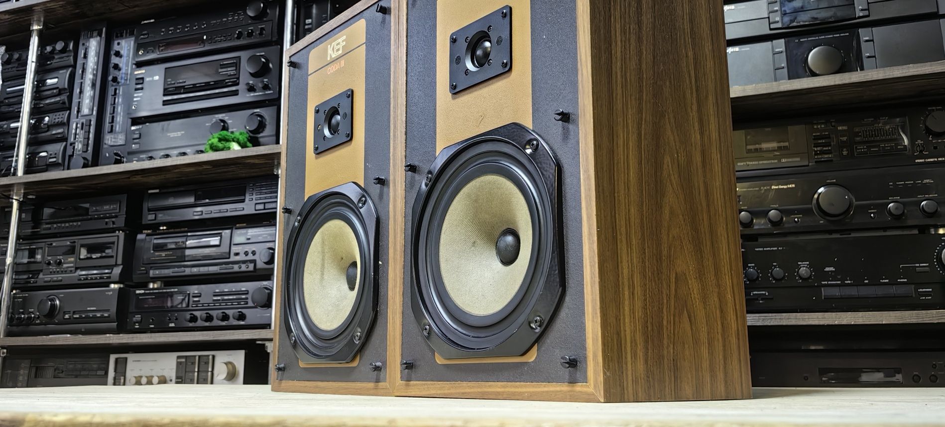 2-х полосна акустика KEF CODA 3