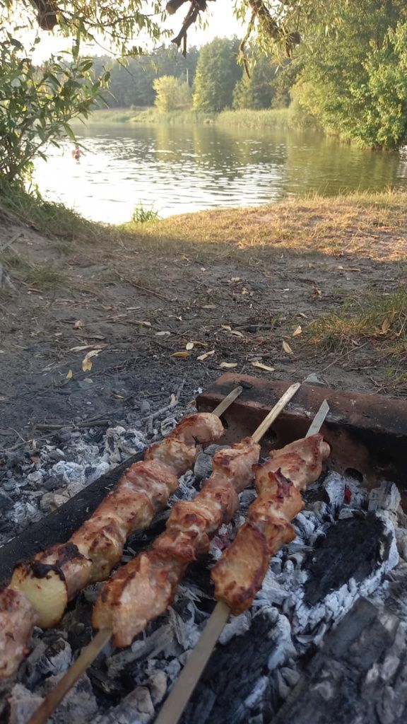 З підвалом, Дача, дом, будинок з газом, грубою, підвал