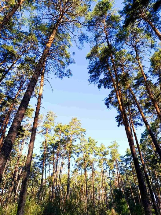 Дачний будинок -затишок і спокій !