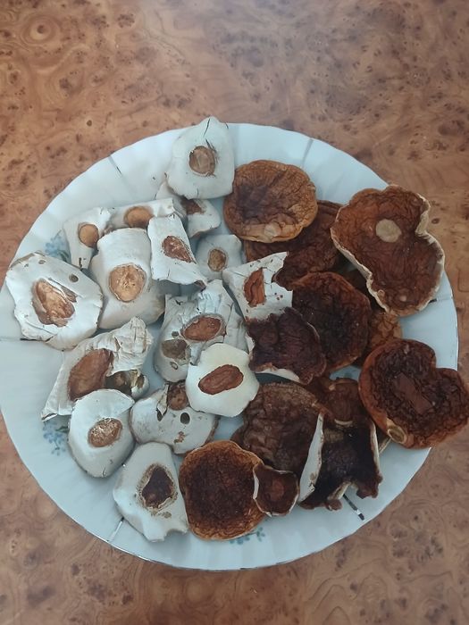 Grzyby suszone borowik kapelusze