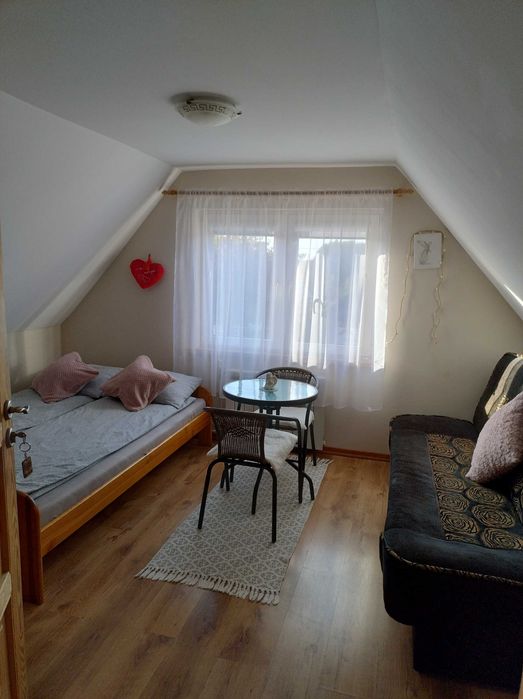 Dom w centrum Białowieży/Warsztaty, sauna, rowery!
