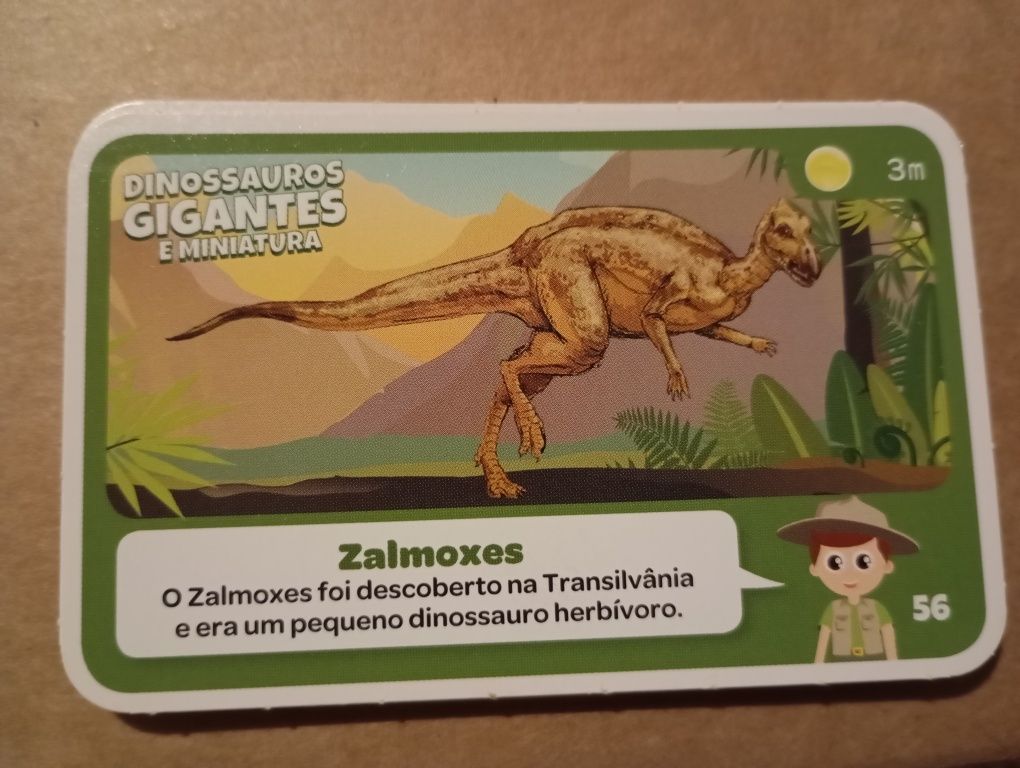 Cartas super animais 3