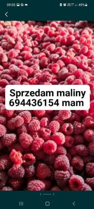 Sprzedam maliny 23zl z dowozem do klienta