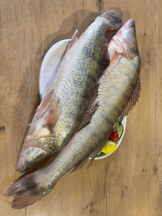 Sandacz konsumpcyjny, świeży, patroszony