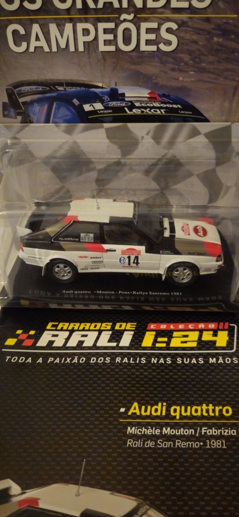 Varias Miniatura rally 1/24