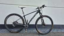 rower focus Raven