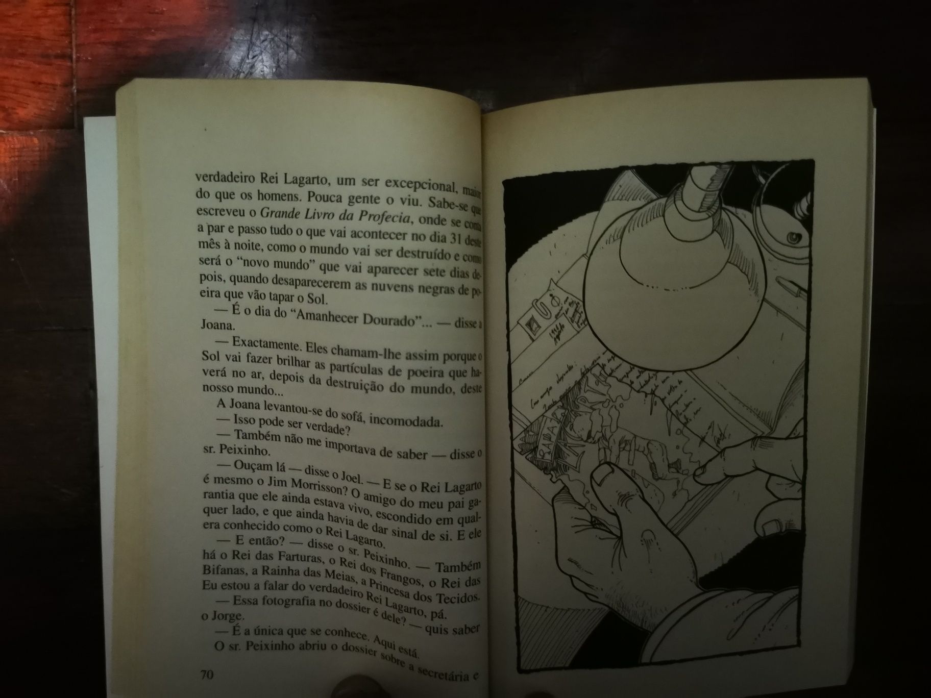 O Rei Lagarto livro