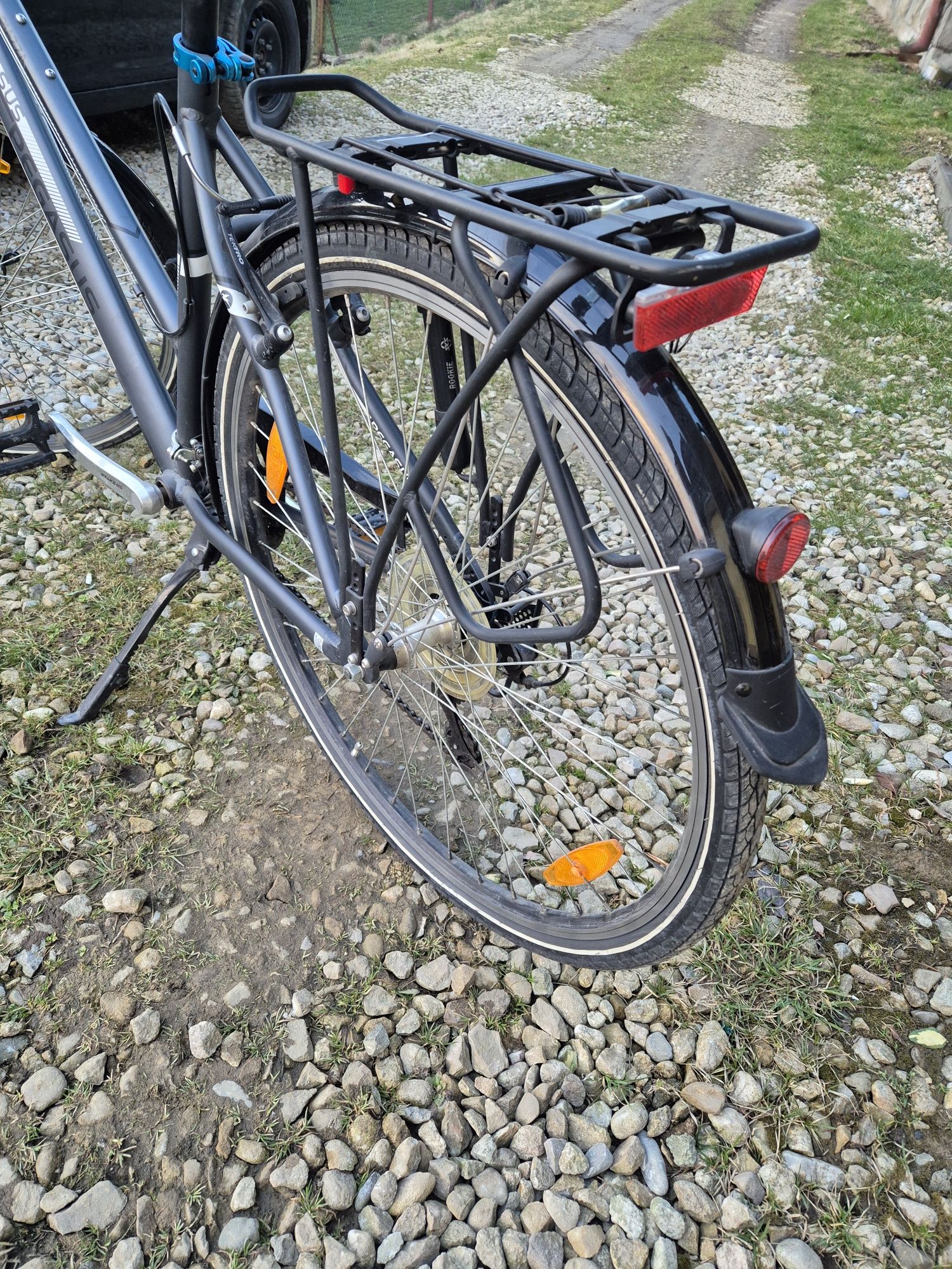 Rower miejski Pegasus Piazza