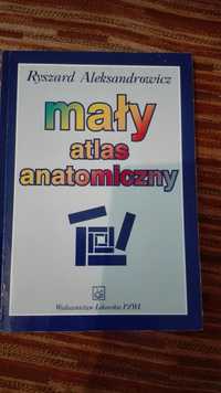 Mały atlas anatomiczny