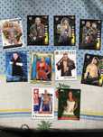 10 diversas Cartas wwe