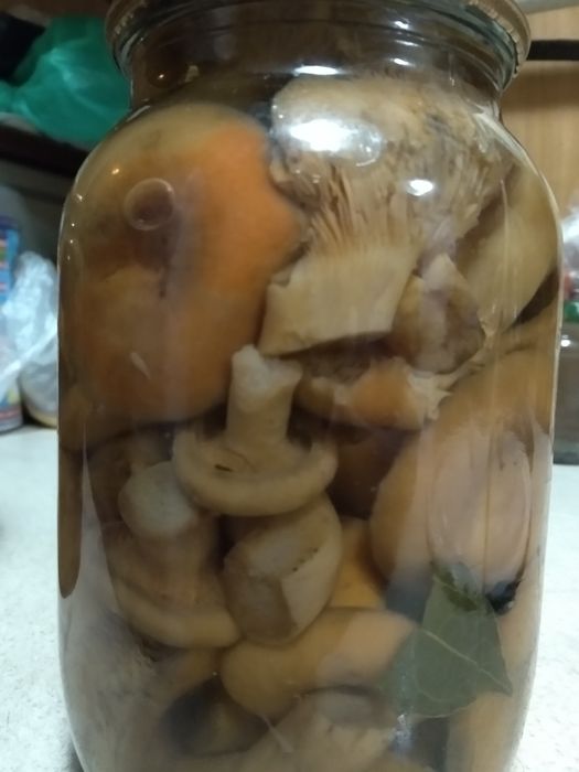 Продам грибы консервированые и сушеные.Лисички и белый гриб