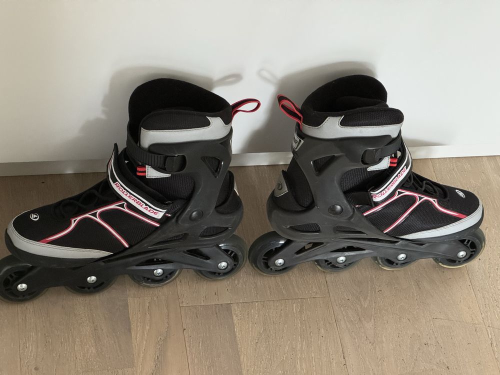 Rolki Rollerblade - Sirio Comp - 42,5