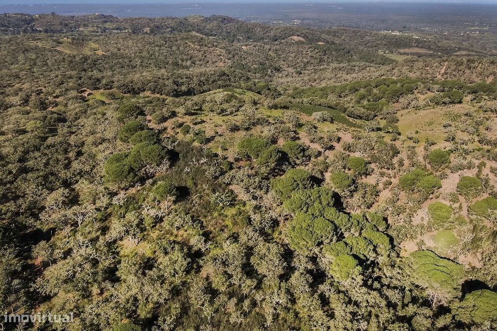 Terreno Rústico 13.0 ha, Grandola