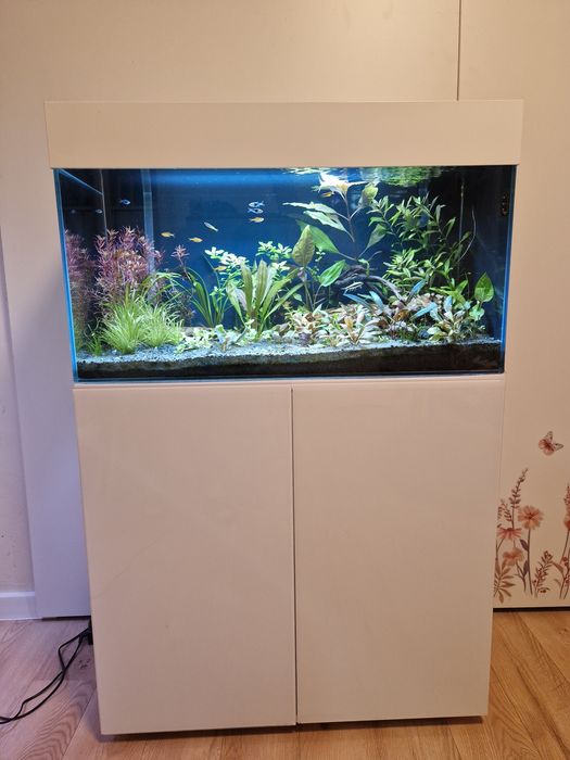 Zestaw akwarium 112l, full optiwhite, szafka aquael, fluval, oase