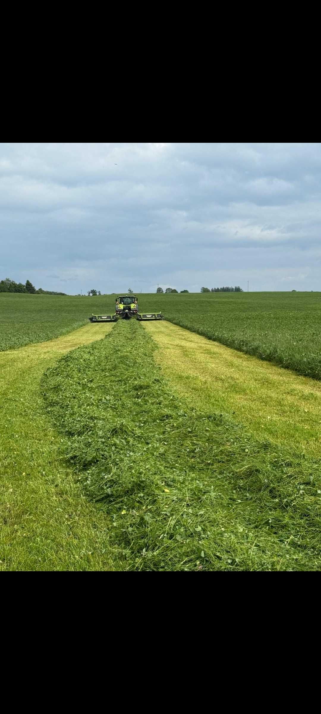 Sianokiszonka trawa z kończyną, bele 130
