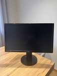 Monitor Gaming Asus