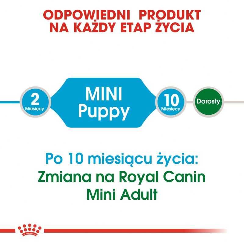 Karma dla psa Royal Canin Mini Puppy/Junior 8 kg OKAZJA !!!