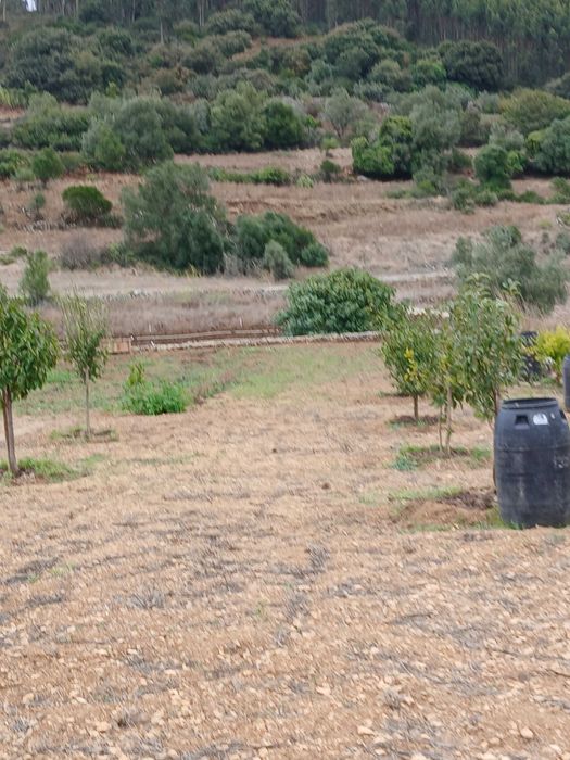 Terreno Rustico ideal para agricultura, árvores de fruta, poço de agua