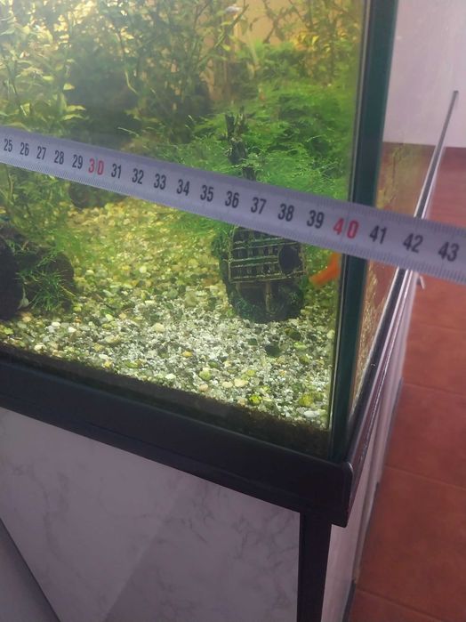 Aquário para venda