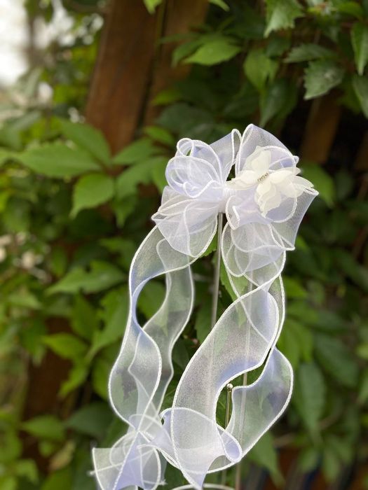 Банти в школу та садочок