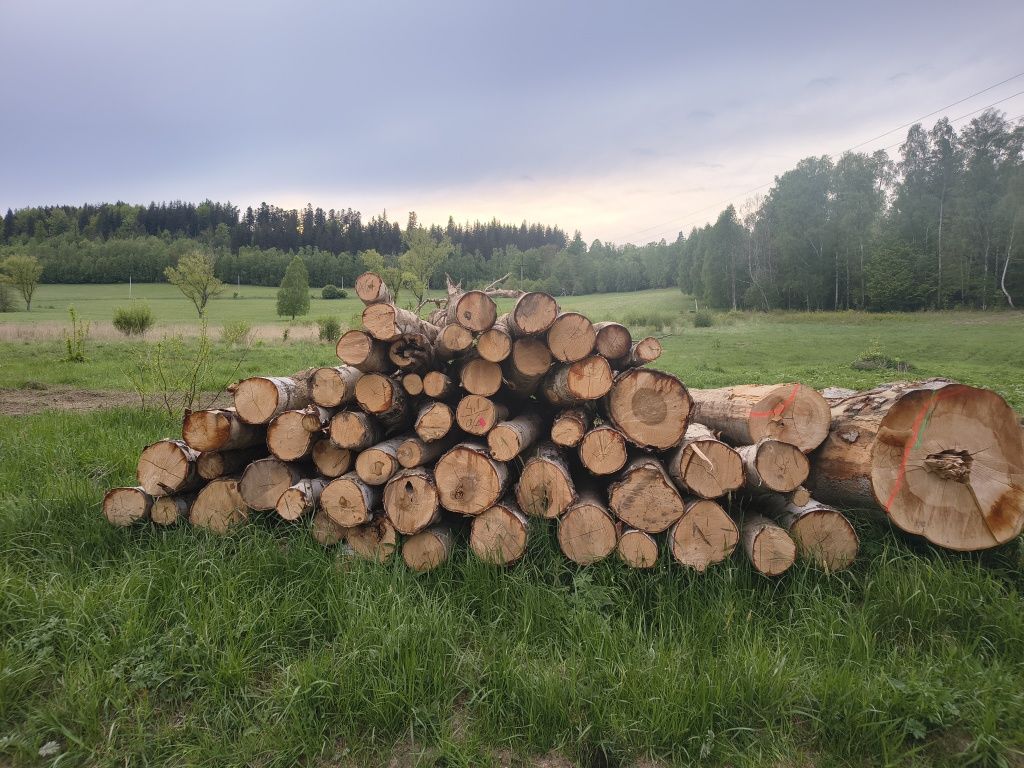 Drewno kominkowe opałowe Buk