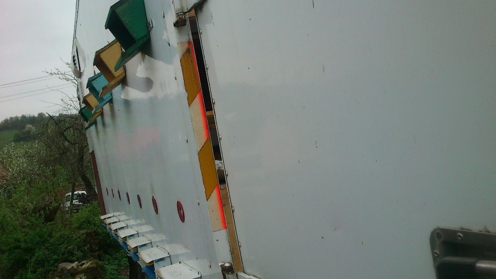 Бджолопавільйон з бджолами