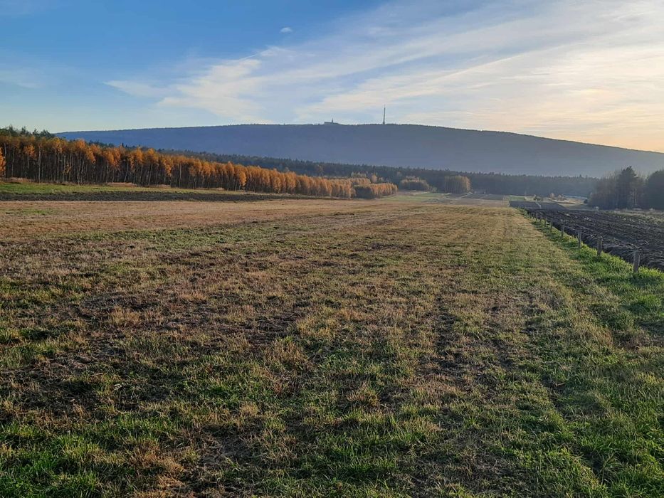 Sprzedam działkę 2ha. Rolno-budowlaną w Górach Świetokrzyskich
